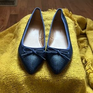 BANANA REPUBLIC POINTY TOE FLATS IN BLUE SIZE 8.5